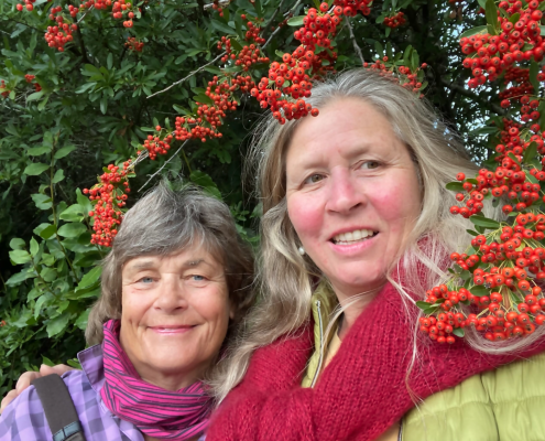 Bildschirmfoto 2025-11-12 um 21.52.34